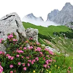 Bergpracht 3*