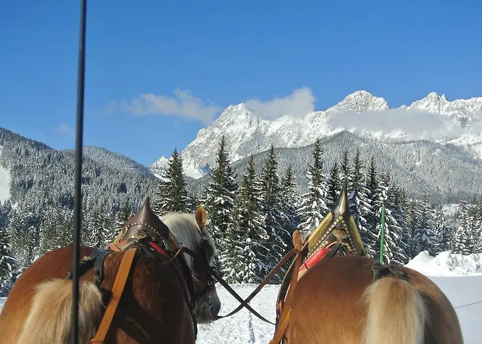 Guest house Bergpracht